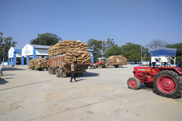 Open Market Shed,Karandighi Krishak Bazar